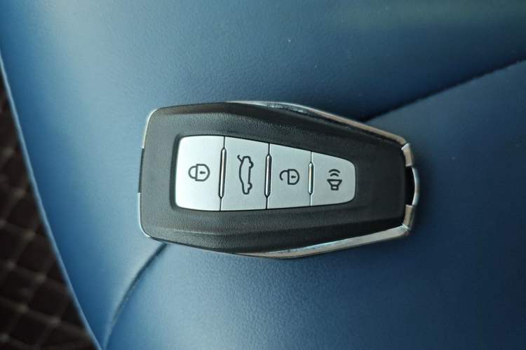 Used Geometry E Firefly 2022 401 km Linglong Tiger 4 Seats
