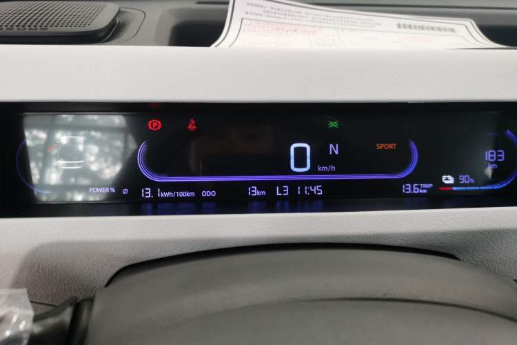 Used  Panda 2024 Panda Mini 200km Endurance Bear
