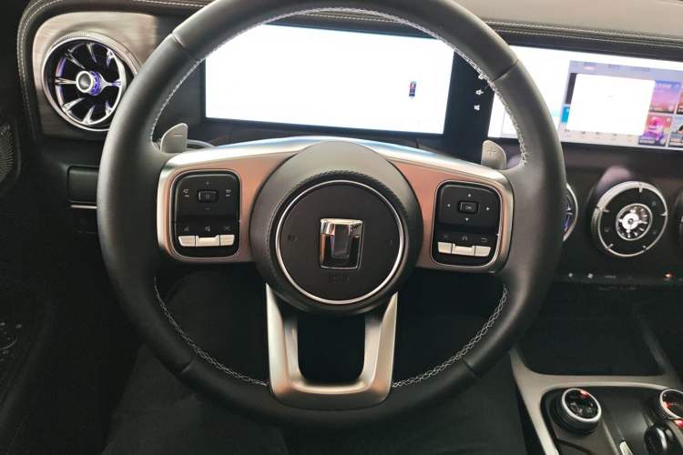 Used Tank 300 2024 2.0T Crosser
