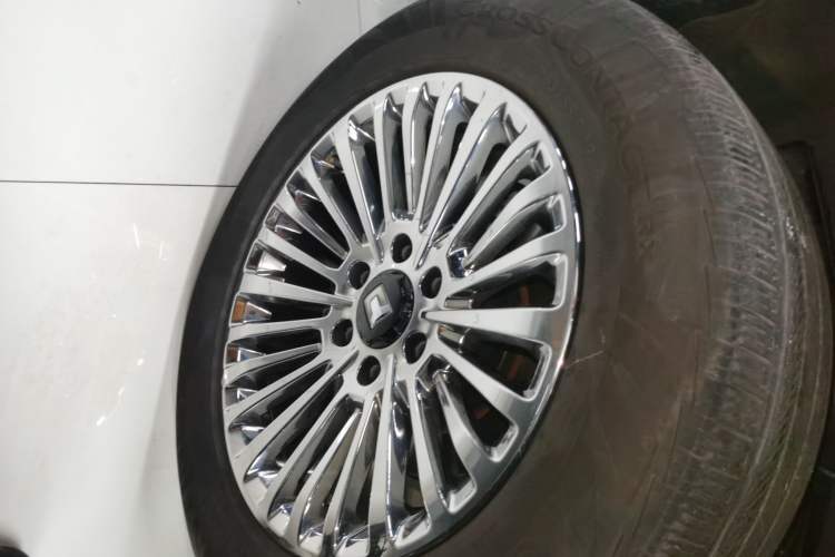 Used Tank 500 New Energy 
