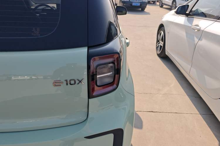 Used SOL E10X 2022 Flower Fairy Design Four-Leaf Clover