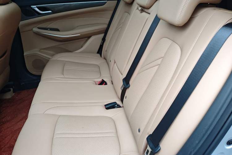 Used  E5 2024 Honor Edition 100KM Deluxe 5-Seater