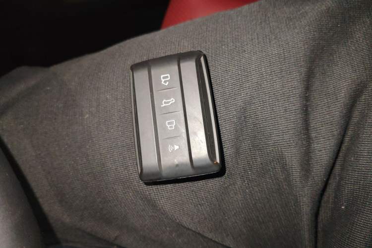 Used Tank 300 2024 2.0T Crosser
