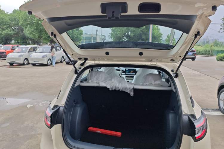 Used  Geome 2025 310km Youth Edition
