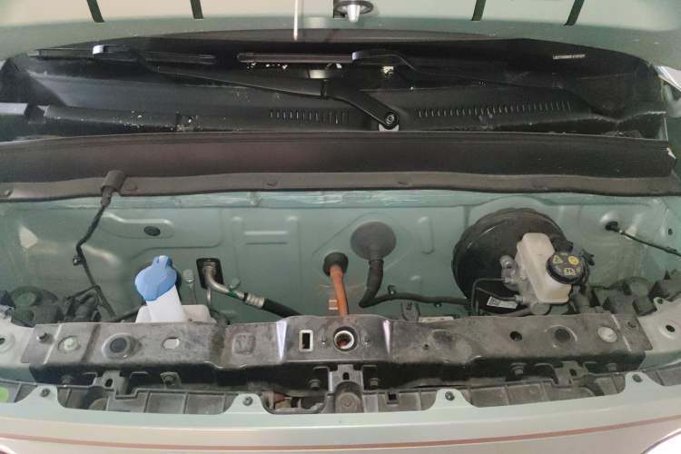 Used  Panda 2023 Panda Mini 200km Endurance Bear
