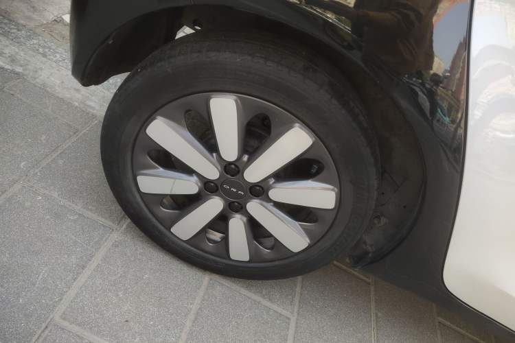 Used ORA Black Cat 2021 351 km Standard Version