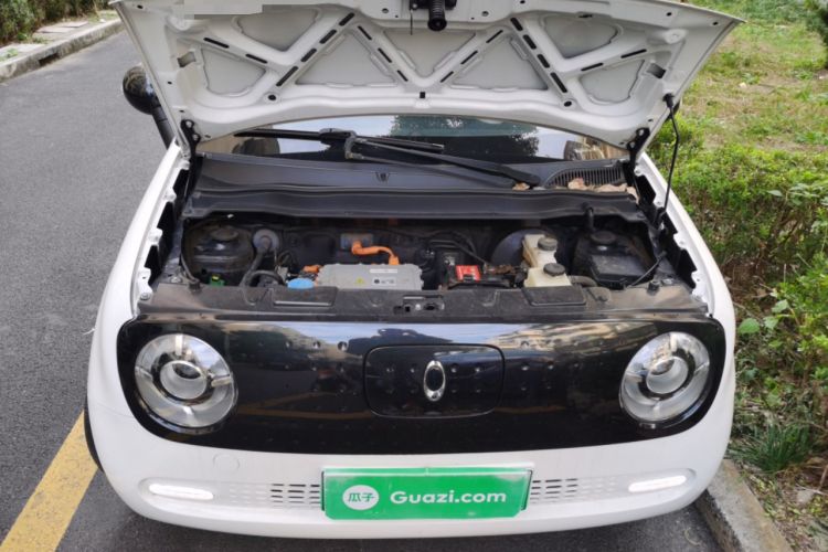 Used ORA Black Cat 2021 351 km Luxury Version
