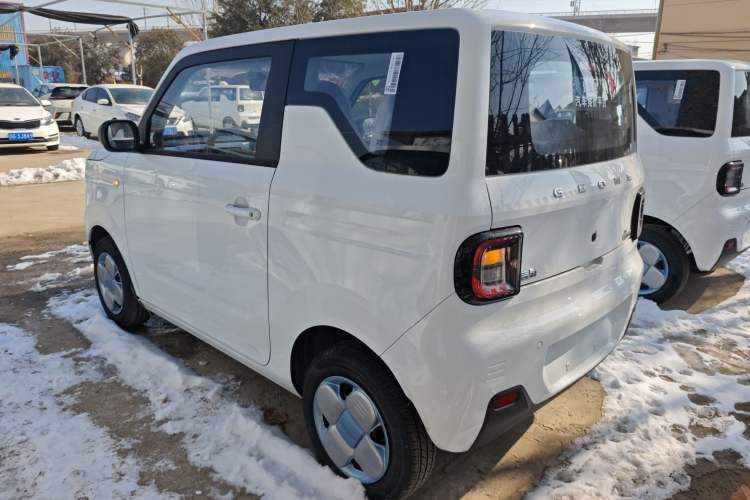 Used  Panda 2024 Panda Mini 200km Endurance Bear