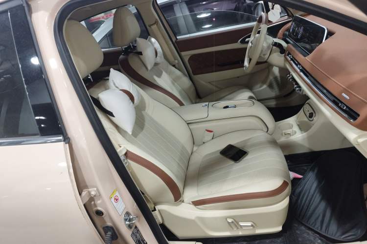 Used ORA Good Cat 2023 401 km Standard Range Premium Version Lithium Iron Phosphate
