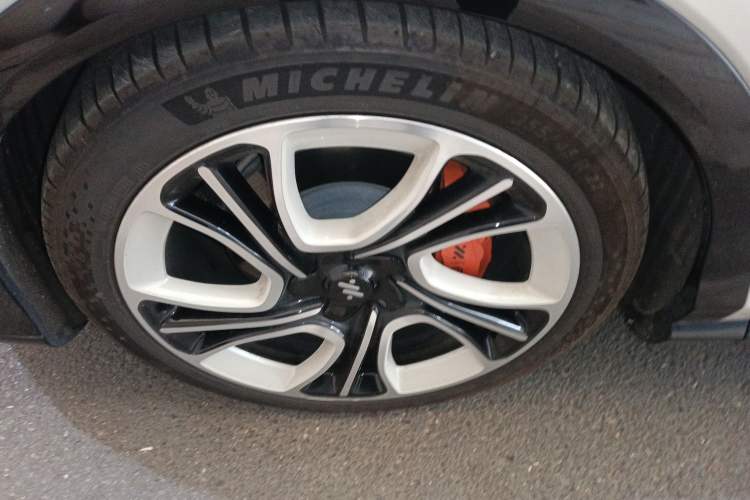 Used  LS7 2024 90 kWh Max Elite Rear-Drive Version
