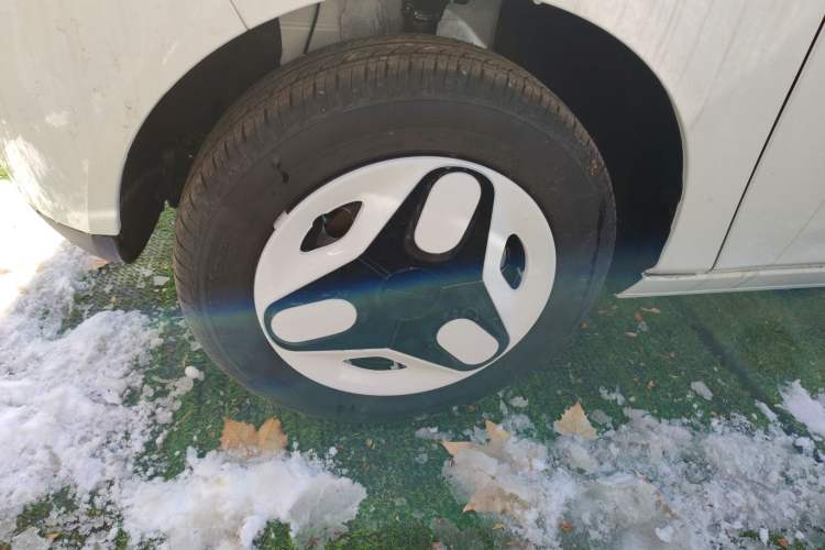 Used  Panda 2025 210 km – Yuanqi Bear
