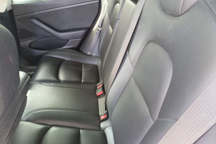 Used Tesla Model 3 2021 Standard Range Rear-Drive Upgraded Version