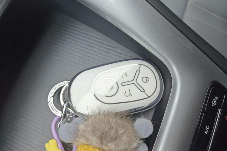 Used  Geome 2025 310km Youth Edition