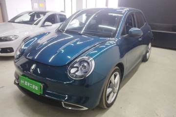 Used ORA Good Cat 2023 401 km Standard Range Luxury Version Lithium Iron Phosphate