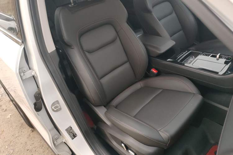 Used  Zhuifeng 2020 Chasing the Waves Edition 1.5T CVT Xingrui Version
