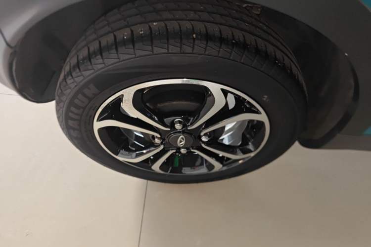 Used Chery Little Ant 2021 200 000-Yuan Ant Fan Edition Energized Version Lithium Iron Phosphate 301 km