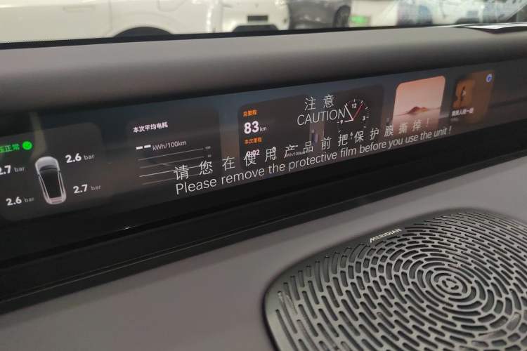 Used  06 2025 Max All-Electric Version
