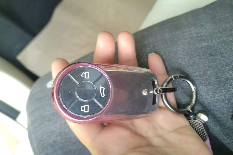 Used ORA Good Cat 2024 401 km Luxury Version
