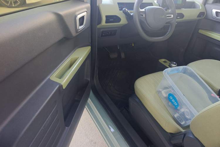 Used  Panda 2024 Panda Mini 200km Endurance Bear
