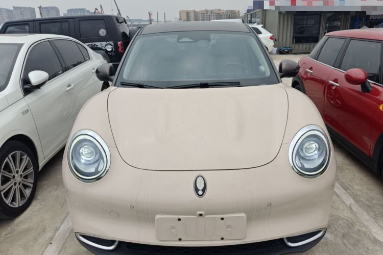 Used ORA Good Cat 2021 400km Standard Range Athena Edition Lithium-Ion Battery