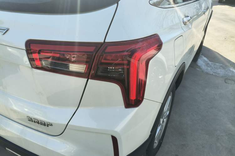 Used Venucia T60EV 2020 AI Enjoyment Model