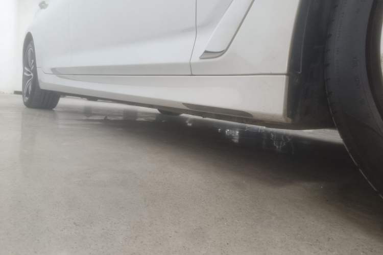 Used BMW 5 Series New Energy 2021 535Le Luxury Package
