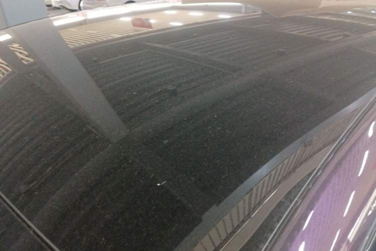 Used  07 2024 Max Pure Electric Edition
