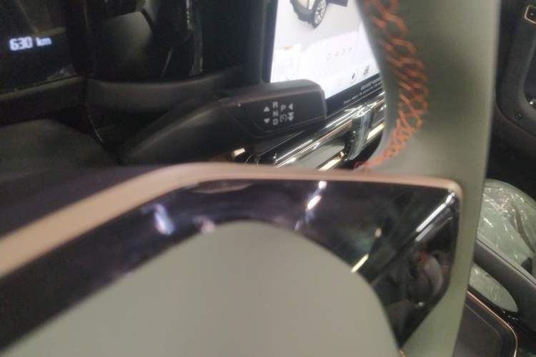 Used  03T 2024 520km Two-Wheel Drive Long-Range Version
