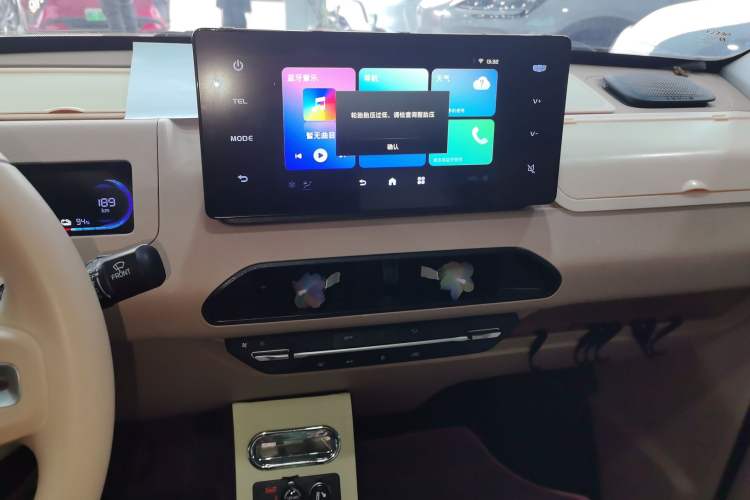 Used  Panda 2023 Panda Mini 200km Dynamic Bear
