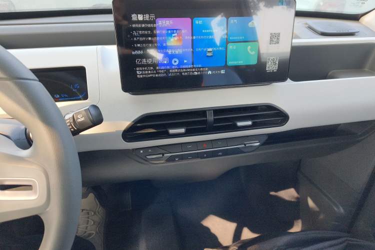 Used  Panda 2024 Panda Mini 200km Endurance Bear
