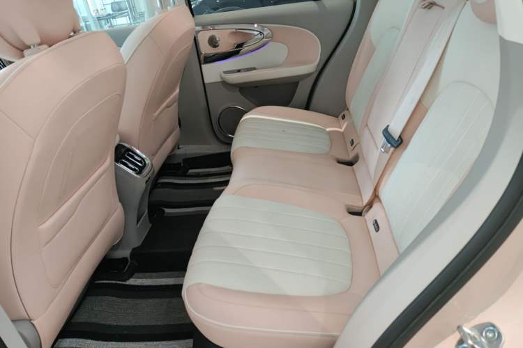 Used ORA Ballet Cat 2022 401 km Nutcracker Edition