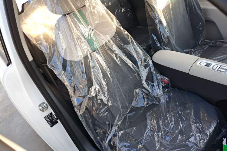 Used  Lumin 2025 205 km Xiangqin Version