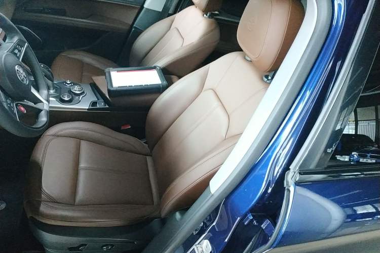 Used Alfa Romeo Stelvio 2019 2.0T 280HP Black Package Limited Edition
