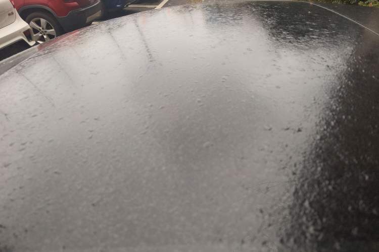 Used Tesla Model 3 2021 Standard Range Rear-Wheel Drive Upgraded Version 3D6
