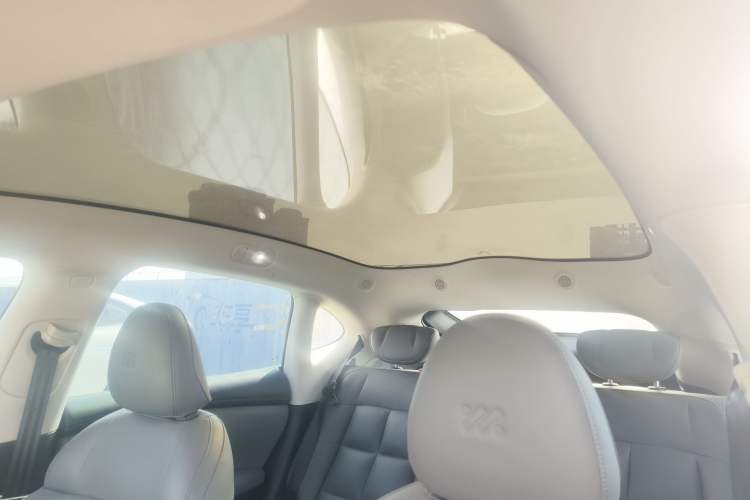 Used  LS6 2023 Max Standard Edition
