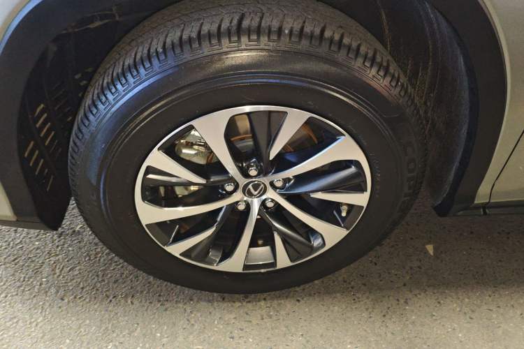 Used Lexus RX 2020 Revised Version 300 Two-Wheel Drive Elite Edition