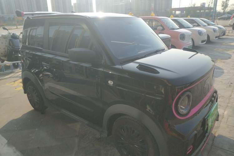 Used  Panda 2024 200km Panda Kart
