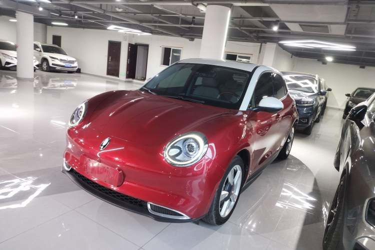 Used ORA Good Cat 2022 500 km Long-Range Luxury Version Lithium-NMC
