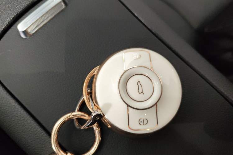 Used  #1 2022 Pulse Heartbeat Edition
