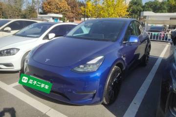 Used Tesla Model Y 2021 Revised Version Long-Range All-Wheel Drive Edition 3D5