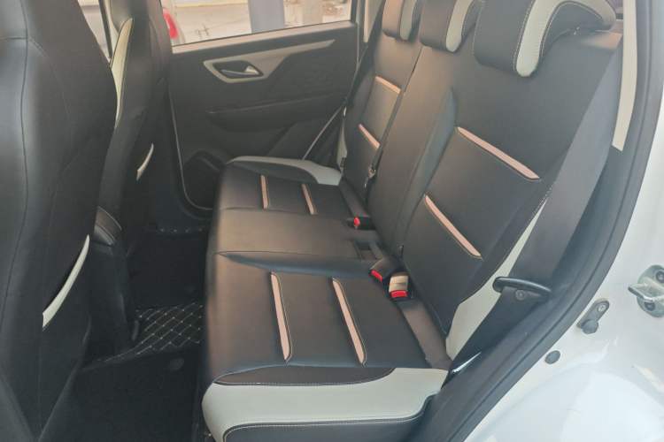 Used SOL E10X 2022 Flower Fairy Design Four-Leaf Clover