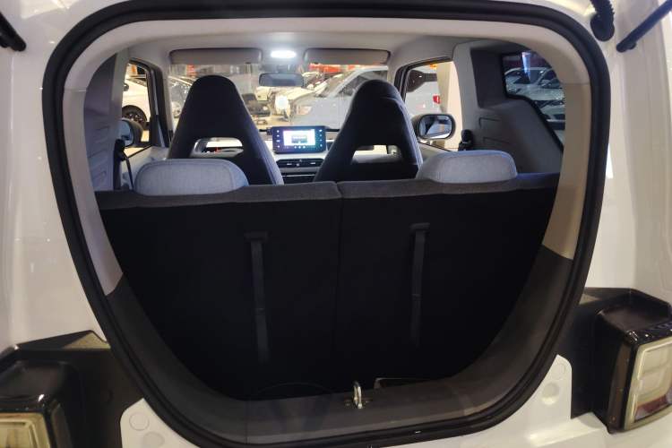 Used  Panda 2023 Panda Mini 200km Endurance Bear
