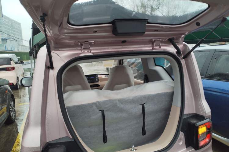 Used  Panda 2024 Panda Mini 200km Endurance Bear