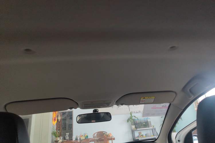 Used SOL E10X 2022 Flower Fairy Design Four-Leaf Clover