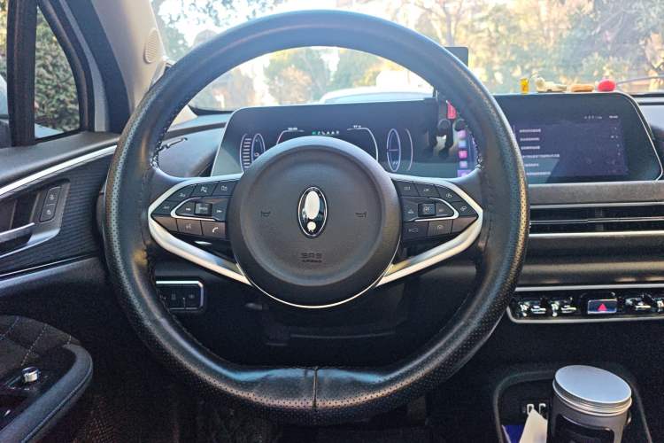 Used ORA Good Cat 2021 500km Long-Range Poseidon Edition Lithium-Ion Battery