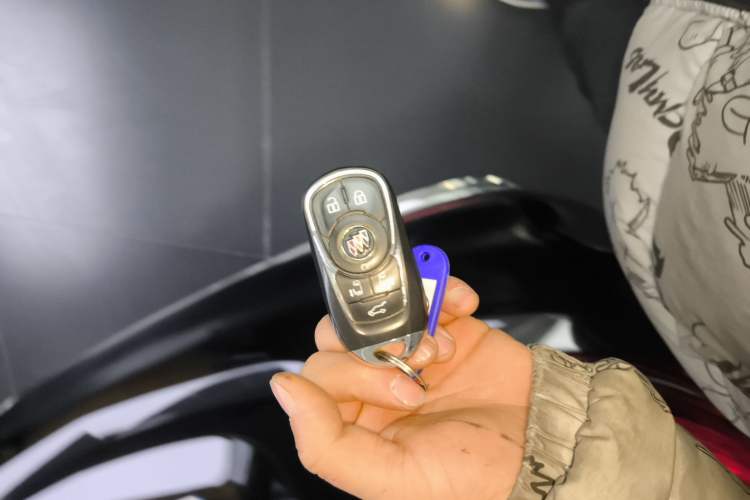 Used Buick GL8 2022 ES Landtrek 653T Flagship Model