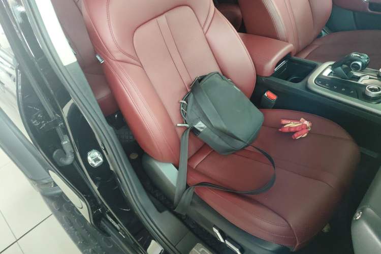 Used Tank 300 2024 2.0T Conqueror
