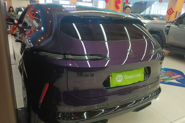 Used  07 2024 Max Extended-Range Edition