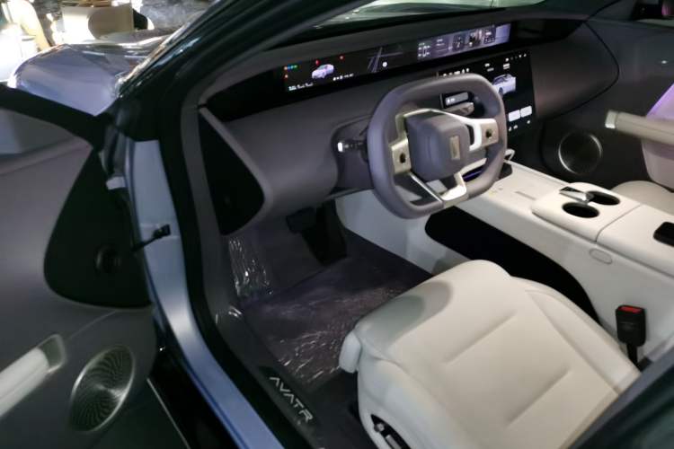 Used  06 2025 Pro Range-Extended Edition
