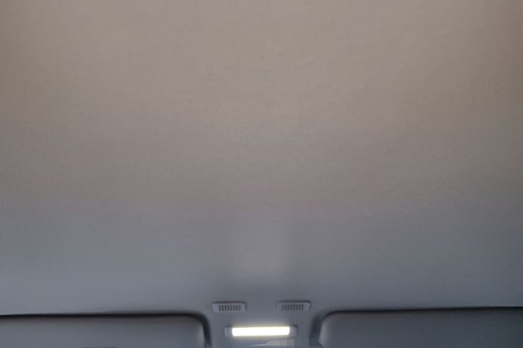 Used  Panda 2024 Panda Mini 200km Endurance Bear
